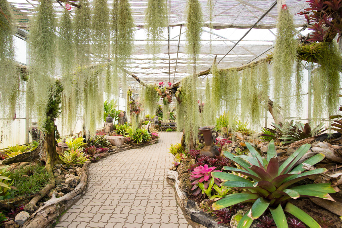 Queen Sirikit Botanic Garden